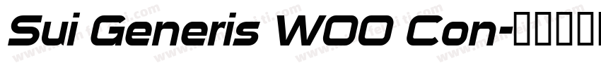 Sui Generis W00 Con字体转换